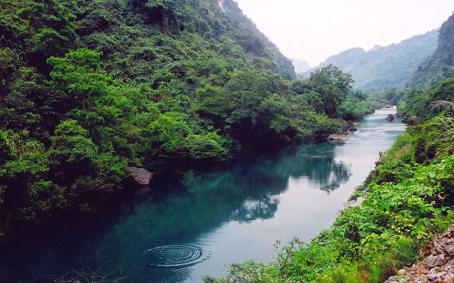 Vườn quốc gia Phong Nha – Kẻ Bàng