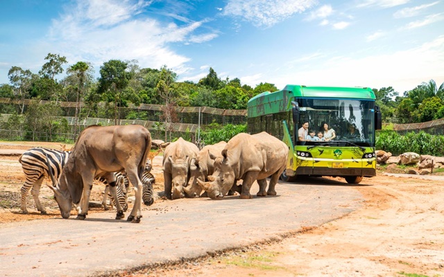 Mách bạn trọn bộ kinh nghiệm du lịch Vinpearl Safari Phú Quốc mới nhất