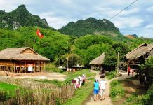 tour mai chau tet