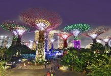 Kinh nghiệm khám phá Garden By The Bay trong tour du lịch Singapore